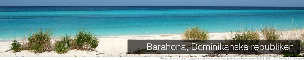 Barahona Barahona