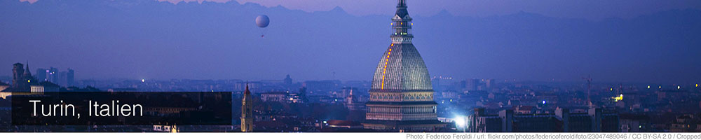 Turin Turin