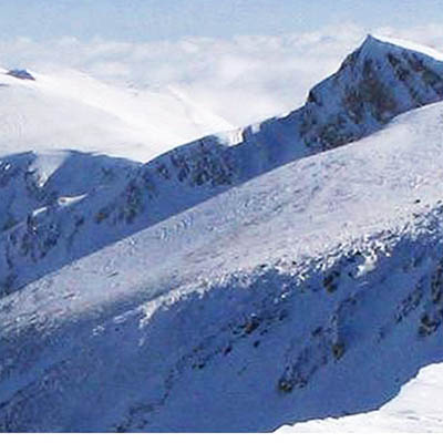 Bursa