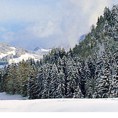 Leysin