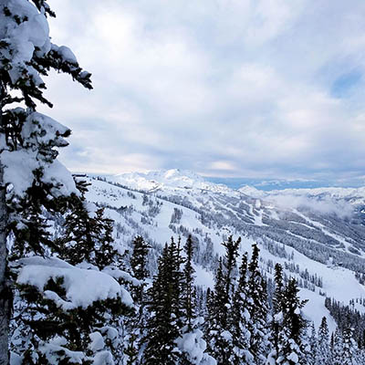 Whistler