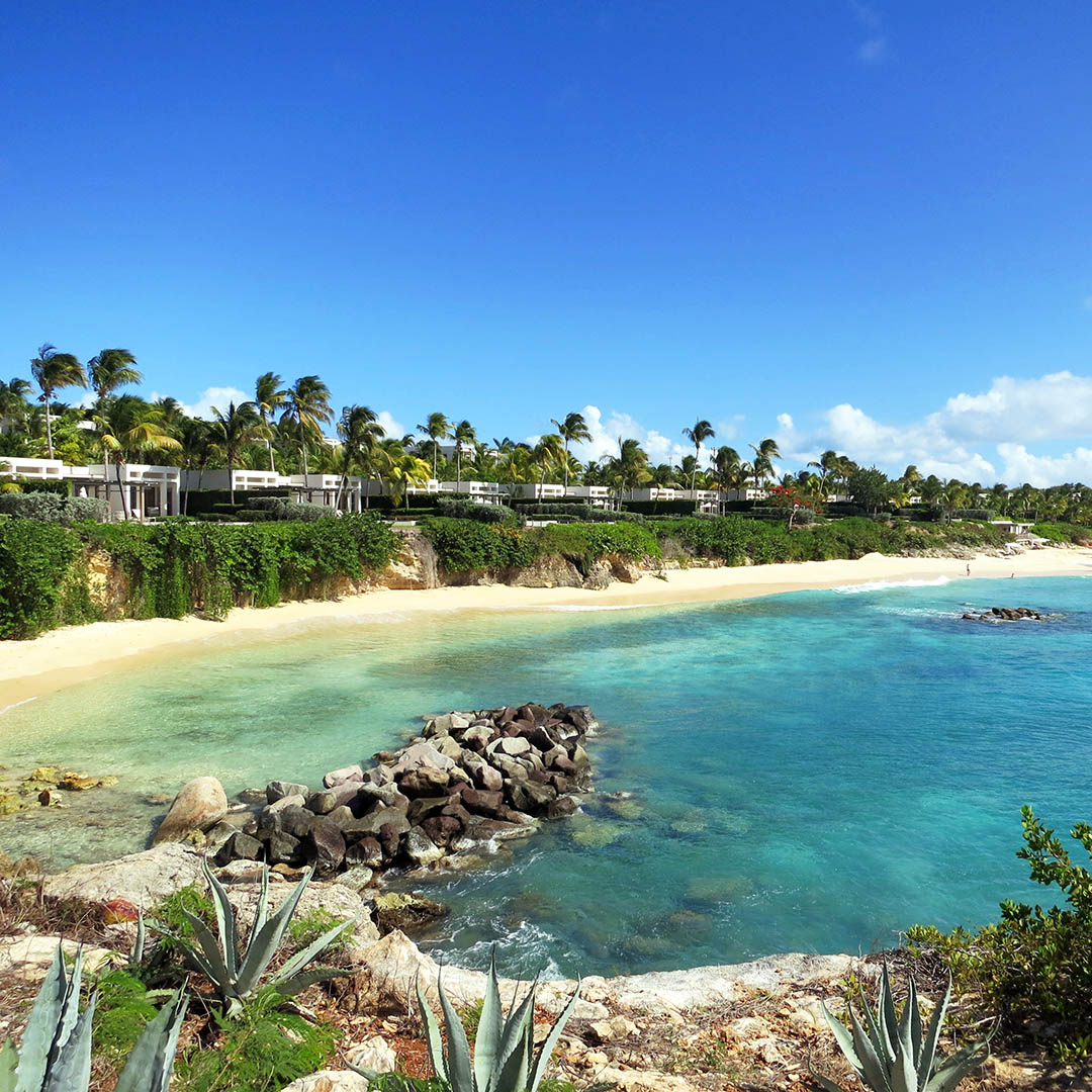 Anguilla Anguilla
