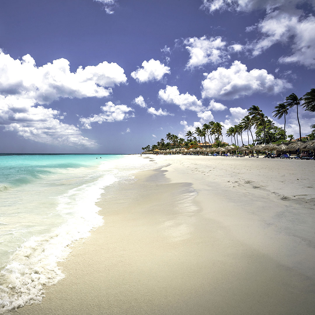 Aruba Aruba