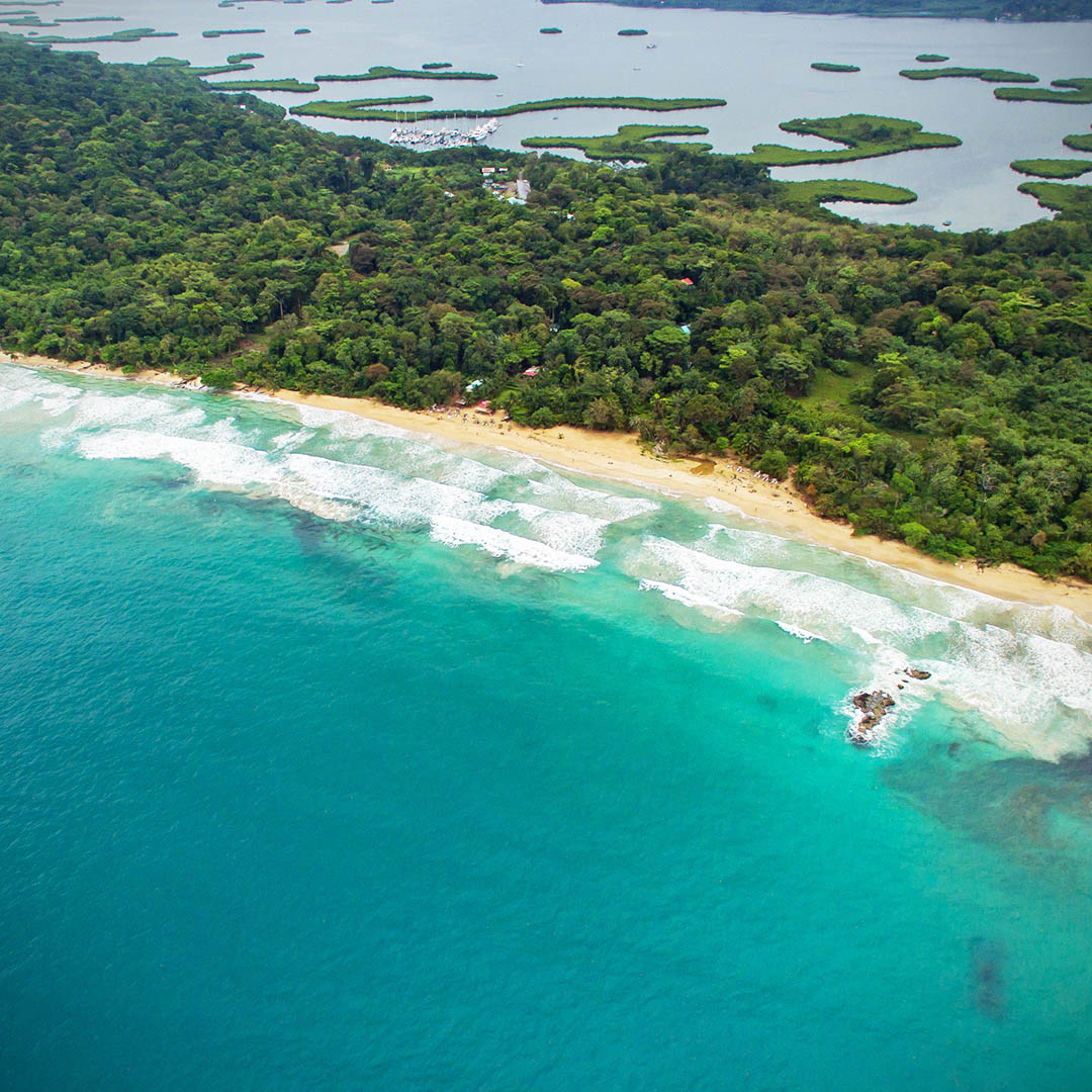 Badorter i Panama Badorter i Panama