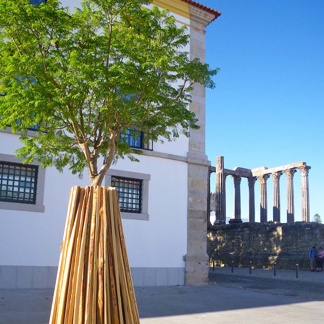 Evora Evora