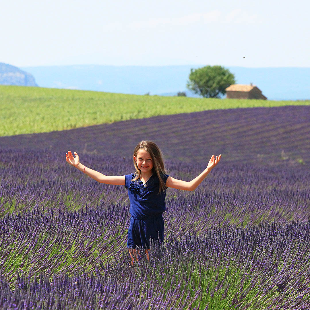 Provence Provence